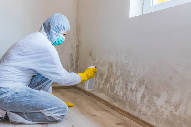 Mold Remediation specialist working in King of Prussia