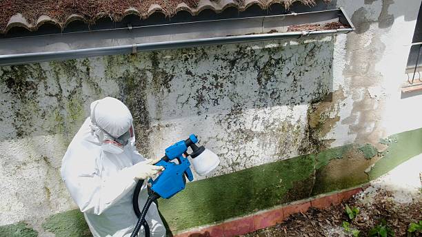 Mold Remediation service in King of Prussia, King of Prussia, PA